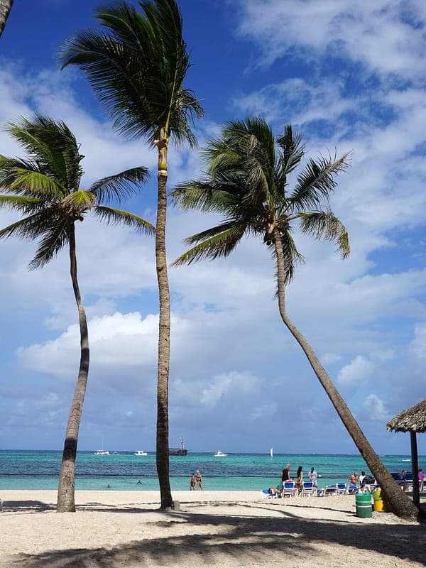 Palm trees leaning over the white sand and turquoise sea of Punta Cana